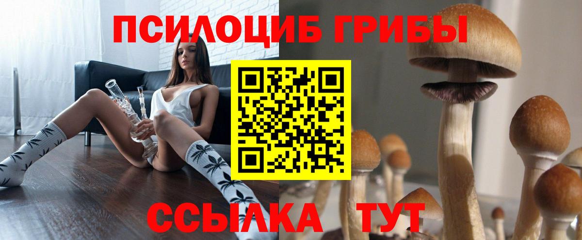 Галлюциногенные грибы мухоморы  Вход с VPN  купить   Магадан 